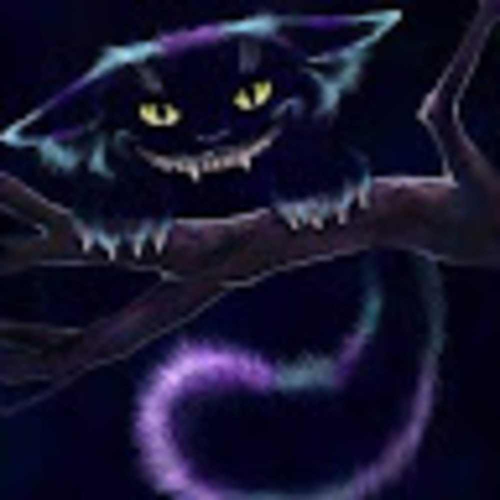 Meet your Posher, Antonette